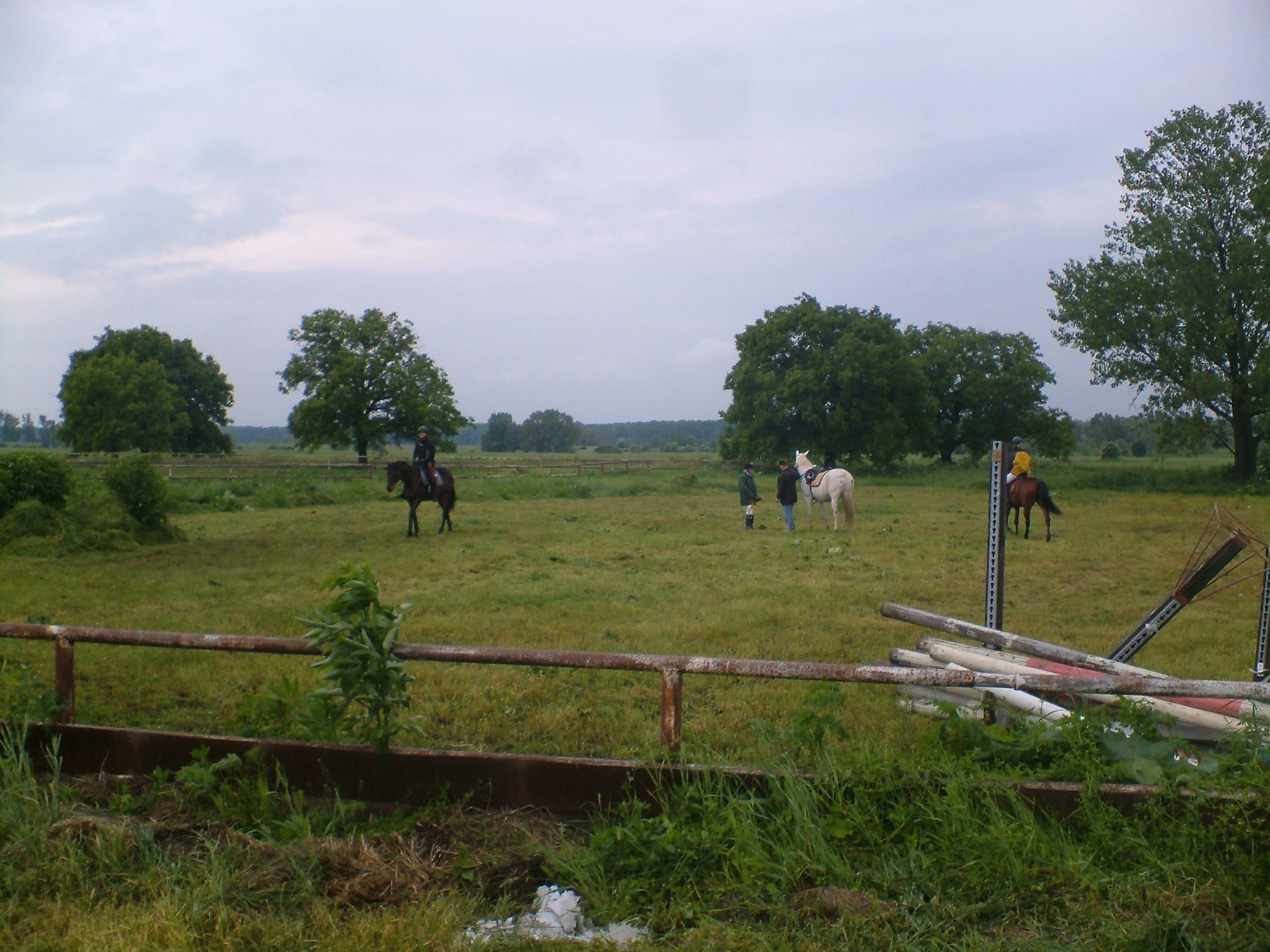 2006_0604Image0058.JPG