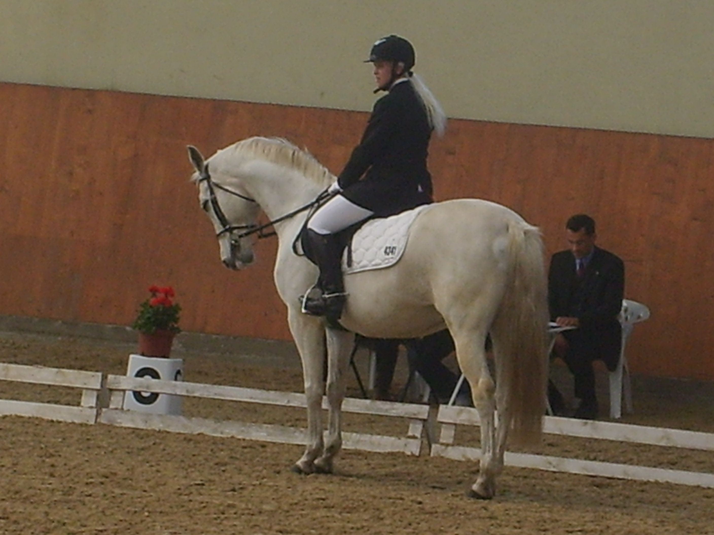 S6000343.JPG