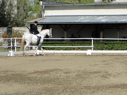 DSC01998.JPG
