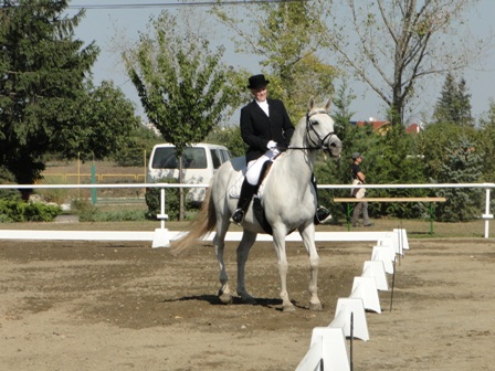 DSC02013.JPG