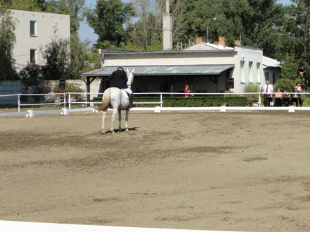 DSC02019.JPG