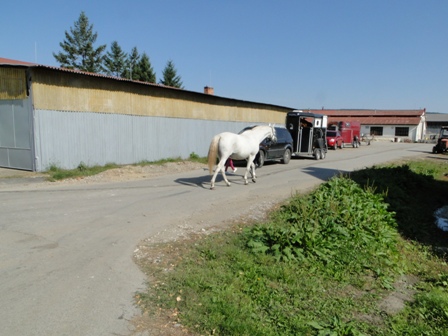 DSC02042.JPG