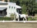DSC01986.JPG