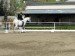 DSC01998.JPG