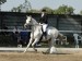 DSC02011.JPG